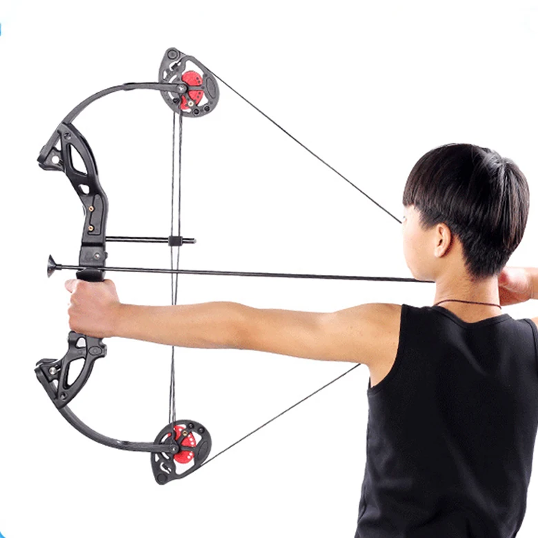 Left Handed Pulley Archery Cross Compound Bows And Arrow Wood Archery Equipment Set For Hunting Children