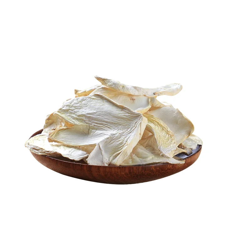 Small Dried French Horn Mushroom Eryngi King Trumpet Oyster Mushroom