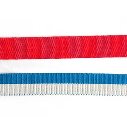 Custom Top Sale Guaranteed Quality Strap Polyester Seat Belt Webbing