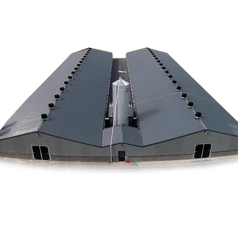 
 Современный дизайн птицефермы бройлера в Китае  