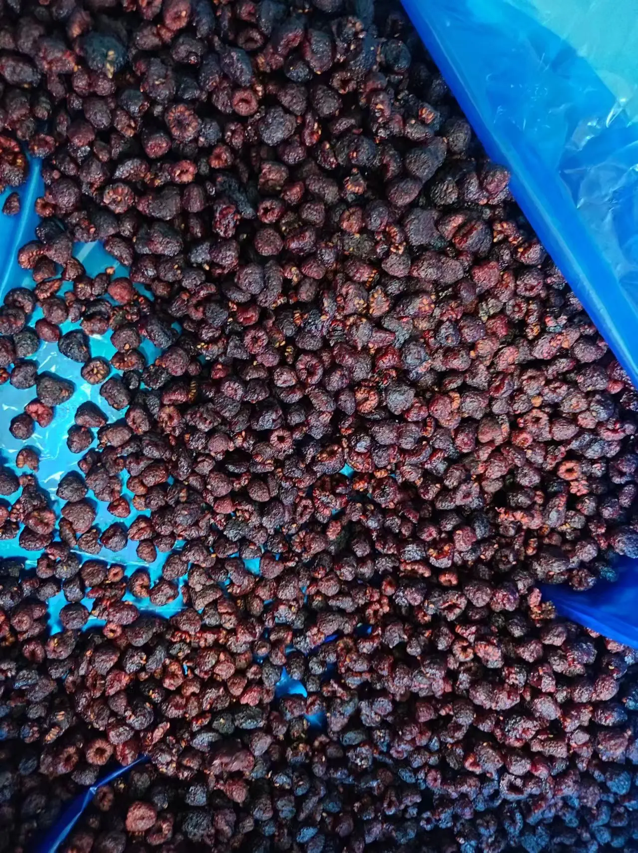 Wholesale Price Health Food  Dried Raspberry