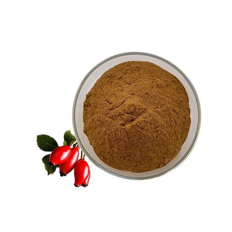 Essential nutrient active components high content vitamin C rose hep extract powder
