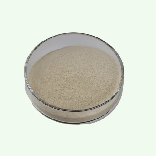 High quality Food grade maltogenic amylase enzyme for baking powder additive