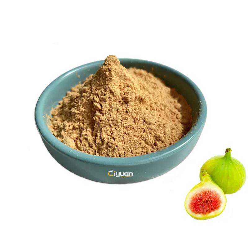 ISO Factory Supply Dried Fig Powder  Ficus Carica Fruit Extract in Bulk Price