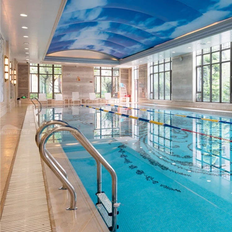 Fenlin piscine piscine swimming pool safety stainless steel 304 ladder