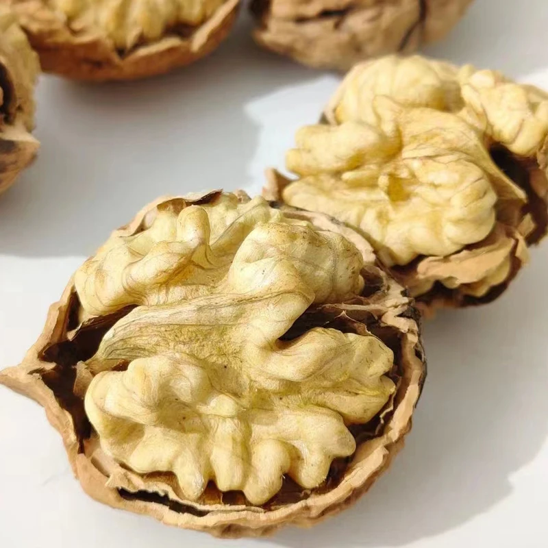 wholesale yunnan 185 33 xiner xinfeng xingfu walnuts in shell with extra light walnut kernels prices