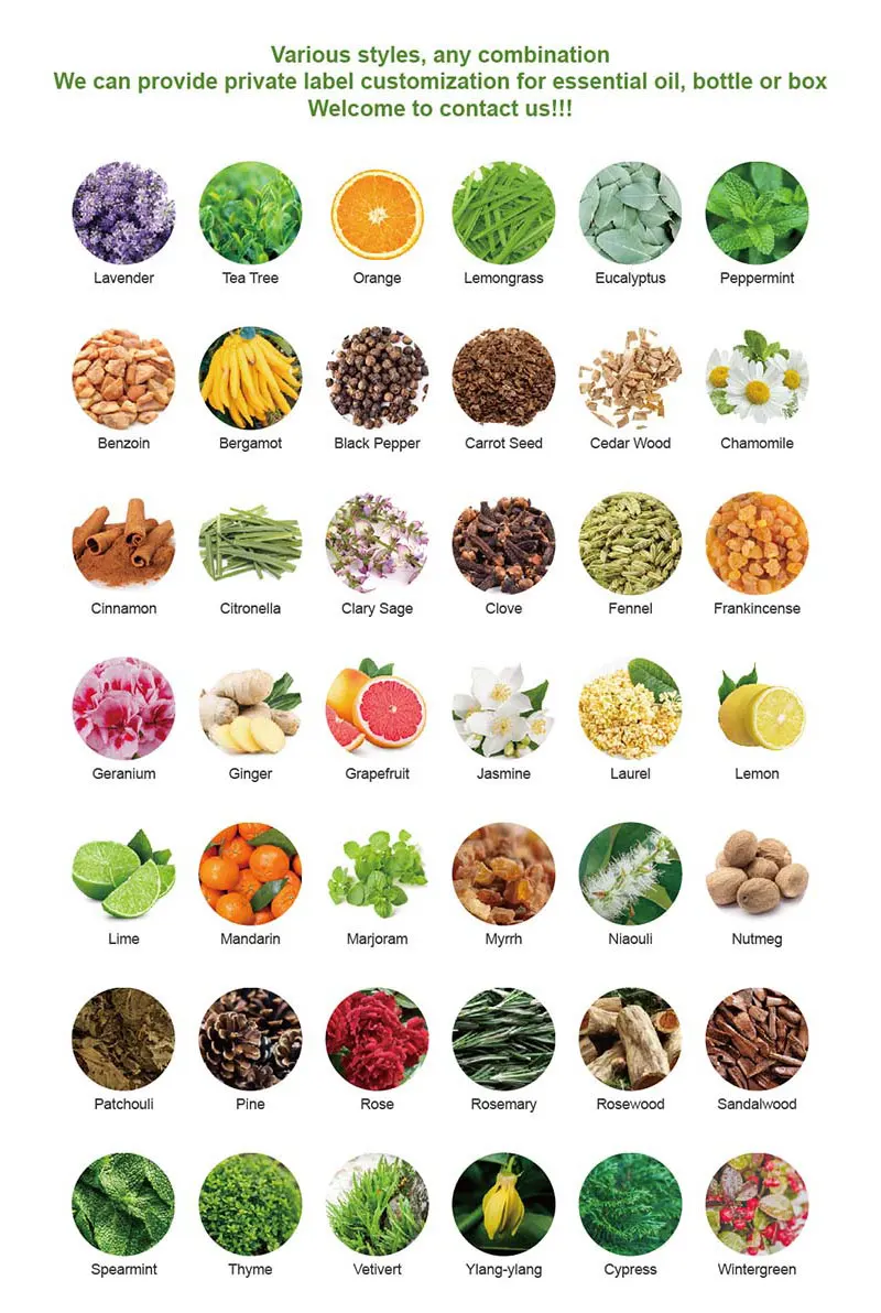 Hot Sale Manufacturers 100% Pure Natura Fenugreek Essential Oil