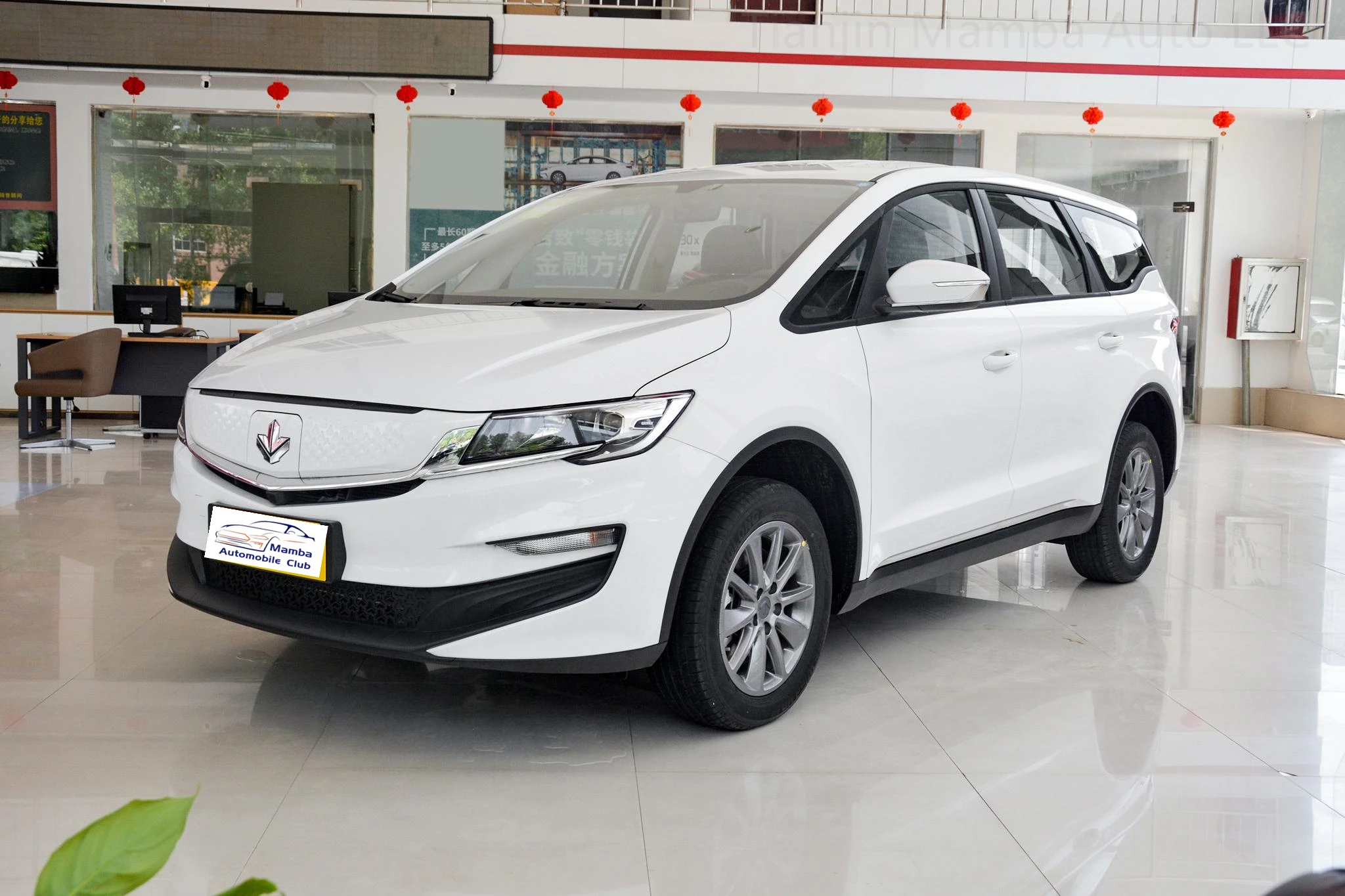 Charger for New Energy Vehicles 4 Seat Automobile Electric Power Vehicles Adults New Energy Vehicles LIfan Maple leaf 80V