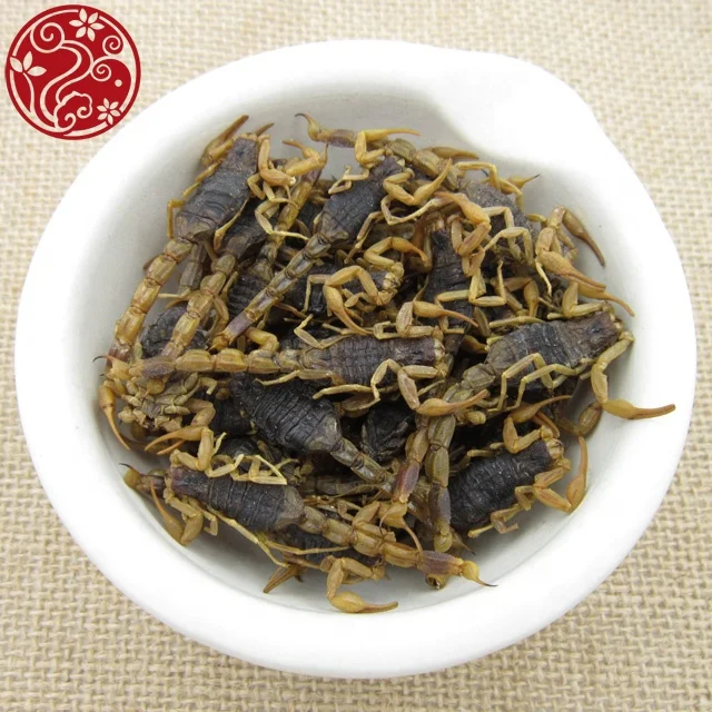 
bulk supply dried scorpion Quan xie medicinal materials 