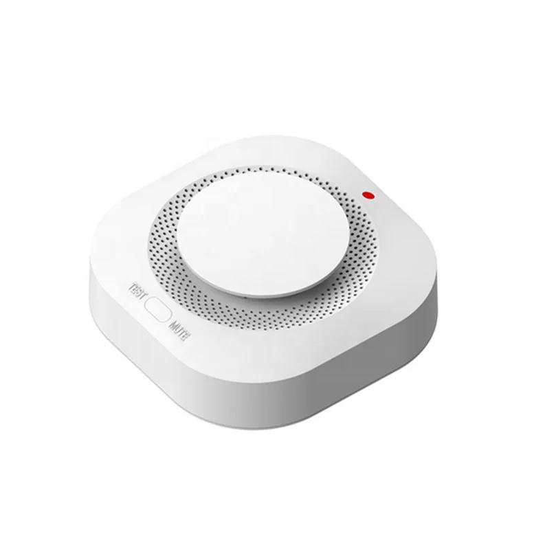 Comprehensive Monitoring of Smoke And Fire Alarms With Audible And Visual Alarms