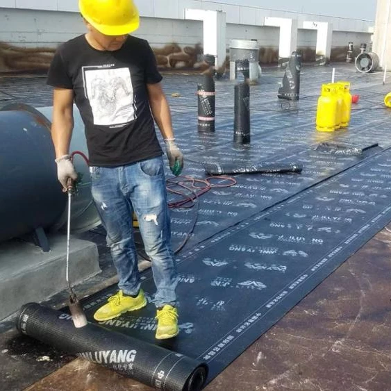 
 Высококачественная водонепроницаемая мембрана SBS/APP для модификации битума  