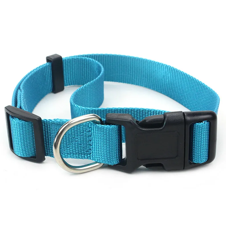 OEM Name Brand Dog Collars And Leashes Snake Stylish Pet Collar Leash