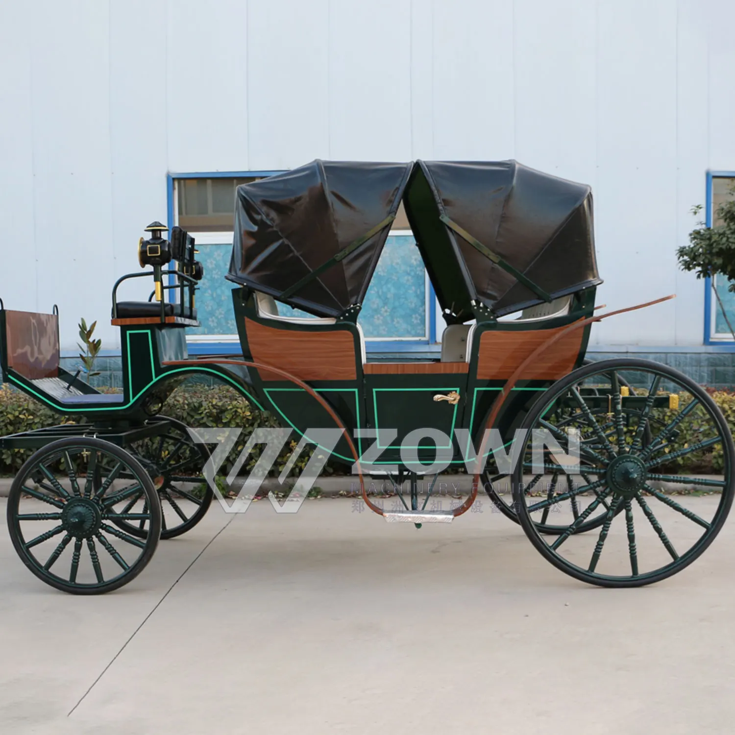 Luxury Black Sightseeing Victoria Electric/Horse-drawn Style Carriage Royal Classic Sightseeing Carriage for Sale with Lights