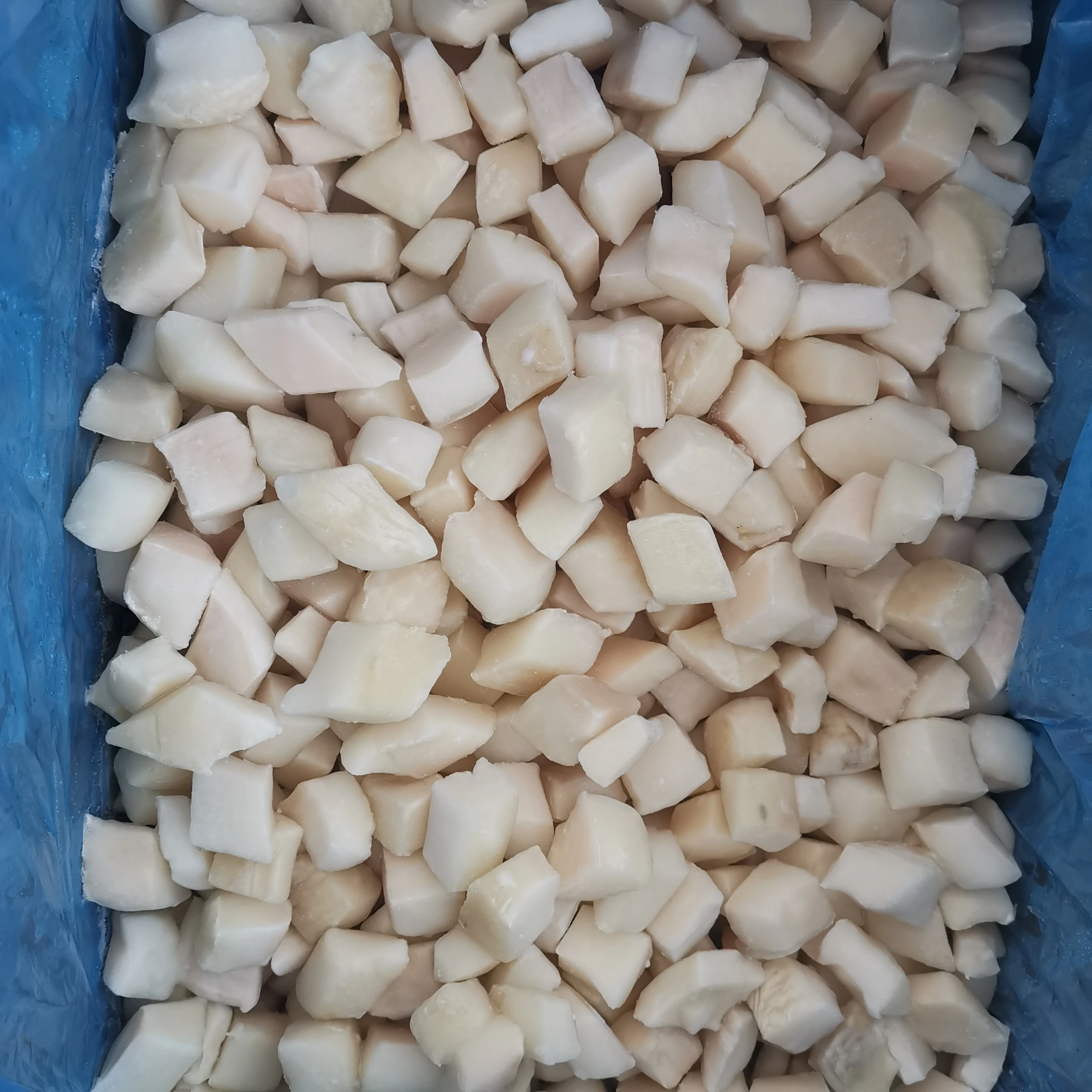 Professional manufacture cheap frozen squid meat block