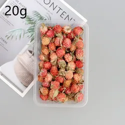 DIY сухие лепестки цветов, контейнеры, материалы для украшения свечей, сохраненные сухие цветы