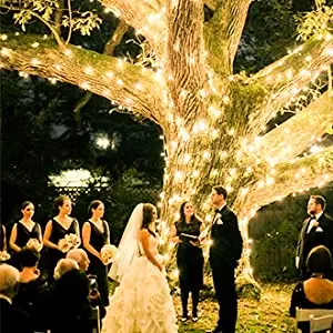 6.5FT Indoor Outdoor Wedding Decoration Event Party LED Curtain Light