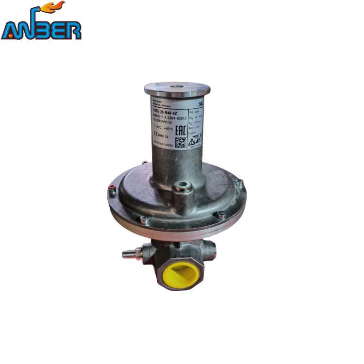 2024 KromSchroder 304 stainless steel  German valve