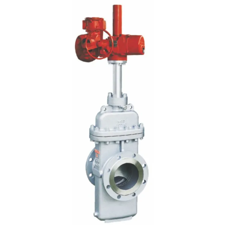 gate valve