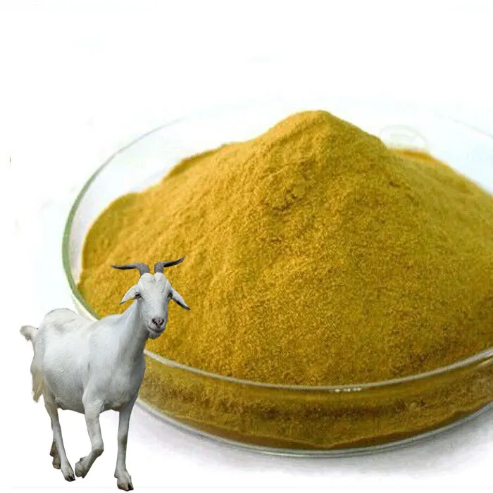 high protein autolyzed yeast as feed additives