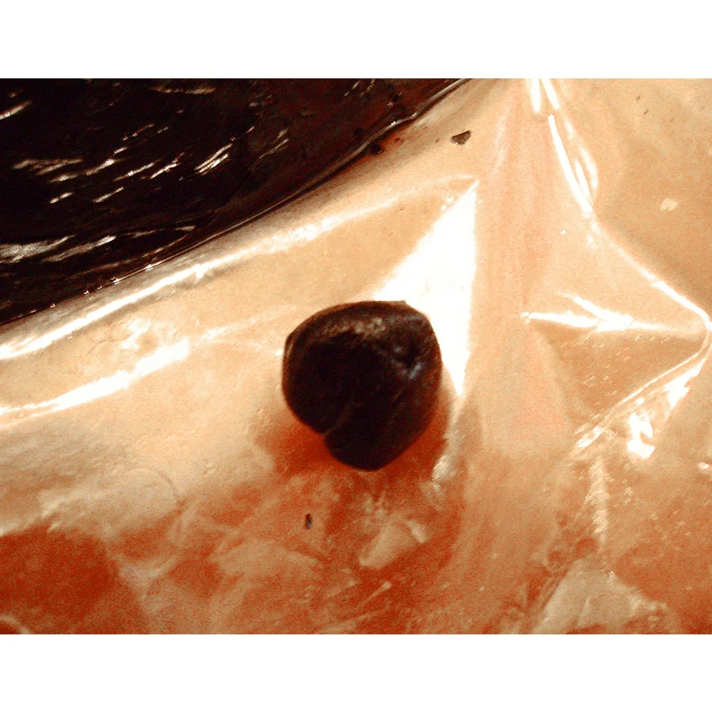 SHILAJIT RESIN 100% organic pure shilajit resin high purity quality viscous mineral pitch mumiyo for health