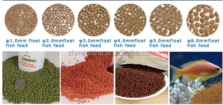 Advanced technology Floating Fish Feed Pellet Extruder Machine Plant Float Catfish Trout fish formula feed making machine