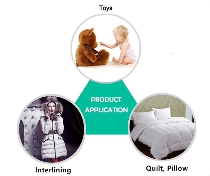 APPLICATION-HCS DL.jpg