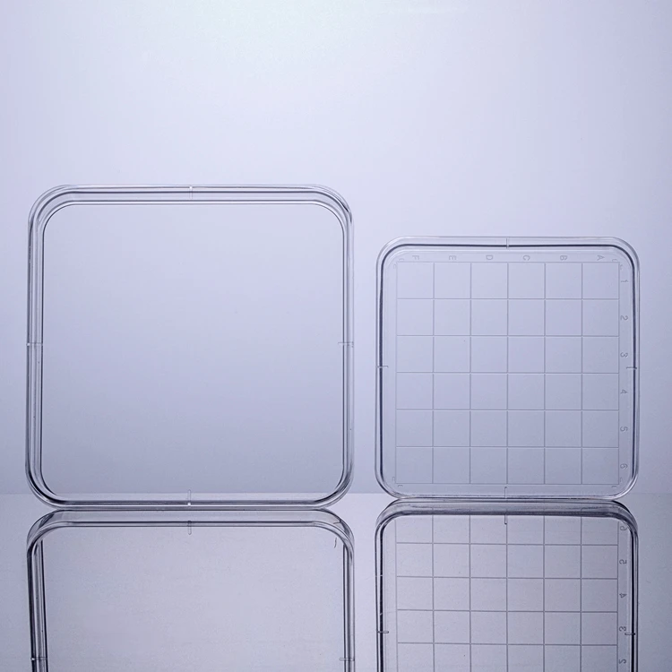 Lab Use Square Plastic Culture Dish Sterile Disposable Petri Dish