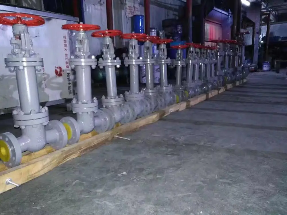 
DIN double seal bellow globe valve flanged ends WCB CF8 CF8M 