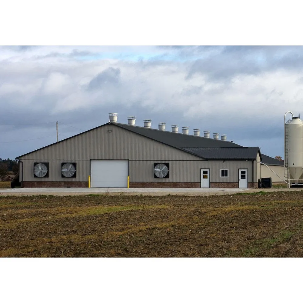 Large poultry house steel structure chicken farm house for 10000 layers