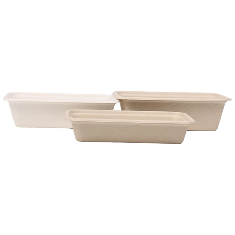Disposable Tableware Biodegradable Sugarcane Bagasse Leakproof Takeaway Paper Lunch Box Container Catering Boxes with Lid