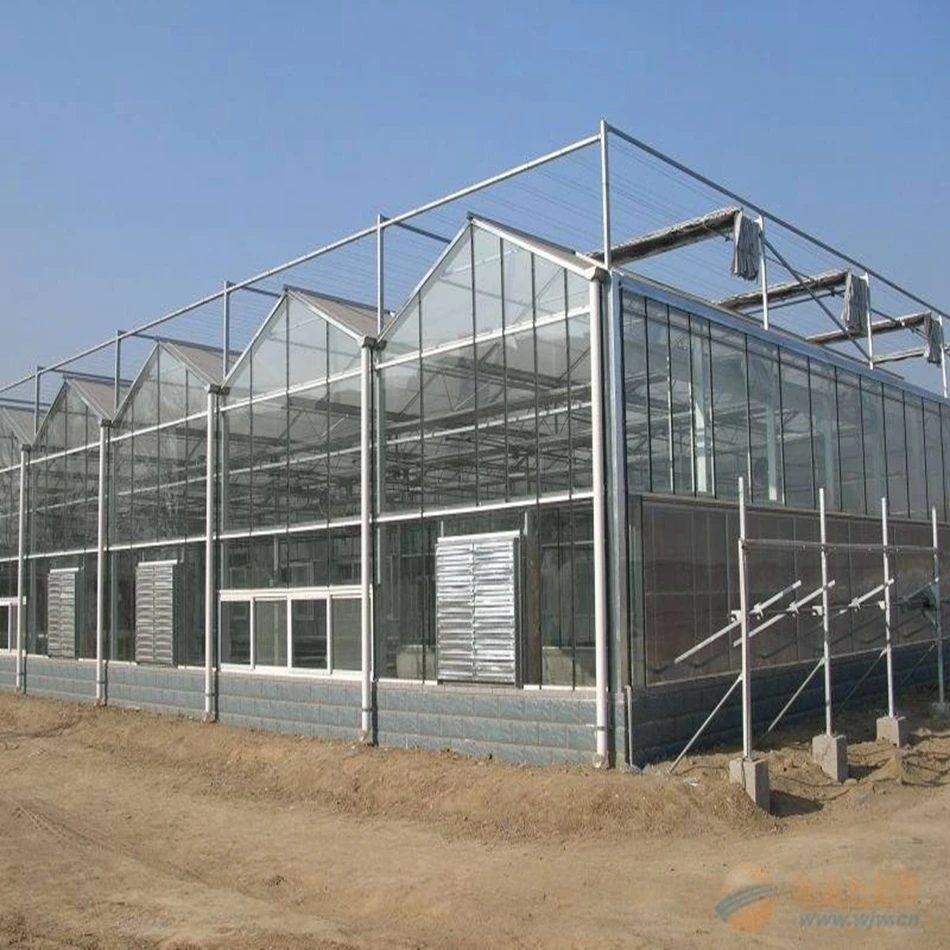 China manufacturer large agricultural garden greenhouses beautiful appearance polycarbonate sheets greenhouse