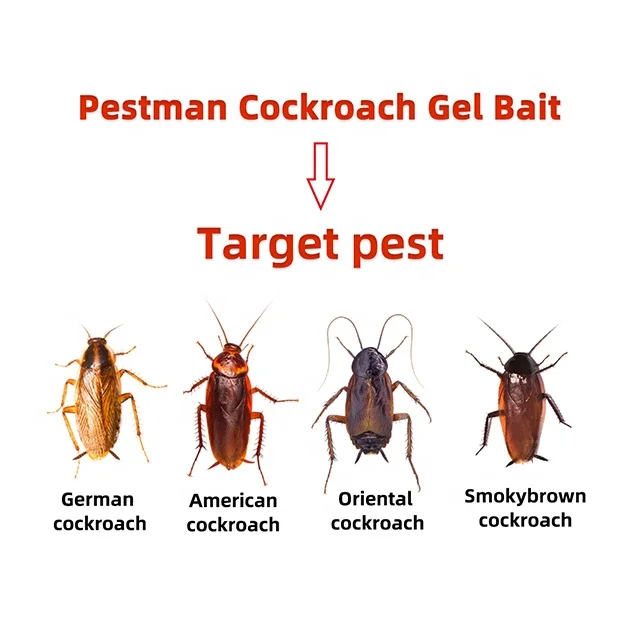 
High Quality Chinese Fipronil 0.05% gel killer cockroach gel bait 