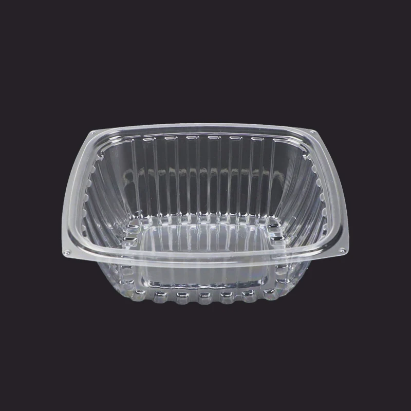 Disposable Packaging Fruit Strawberry Tomato Punnet Plastic Salad Container Box