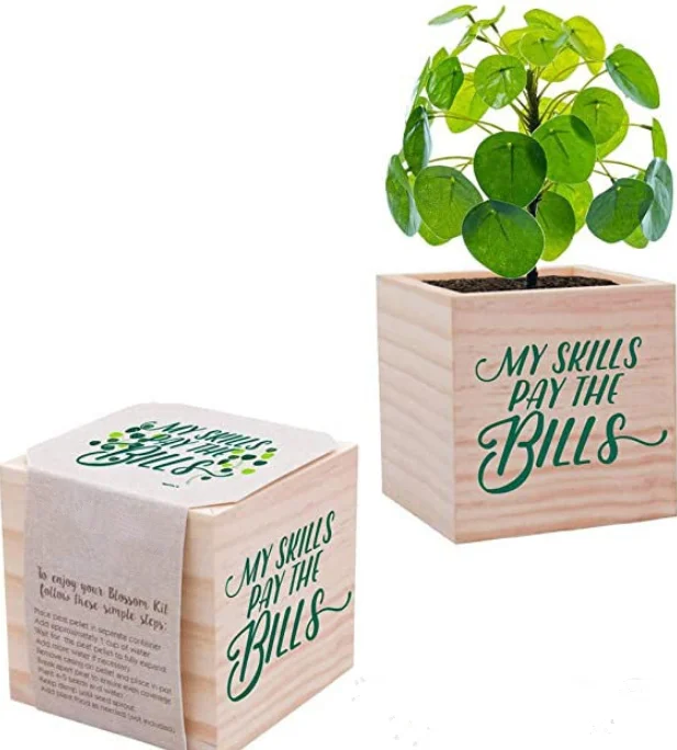 plant Cube Appreciation Gift and Wooden Planter - Employee Teacher Thank You  Desk Accessory