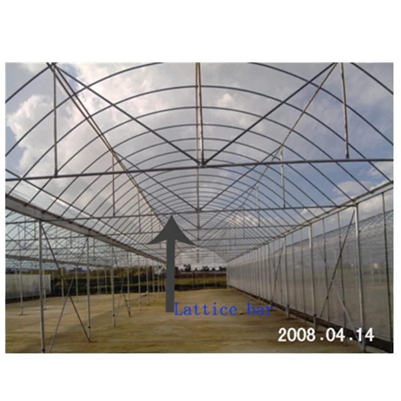 Agricultural Greenhouses farming snail tunnel Greenhouse plastic film Cultivation Shed Skeleton tomato greenhouse for sale