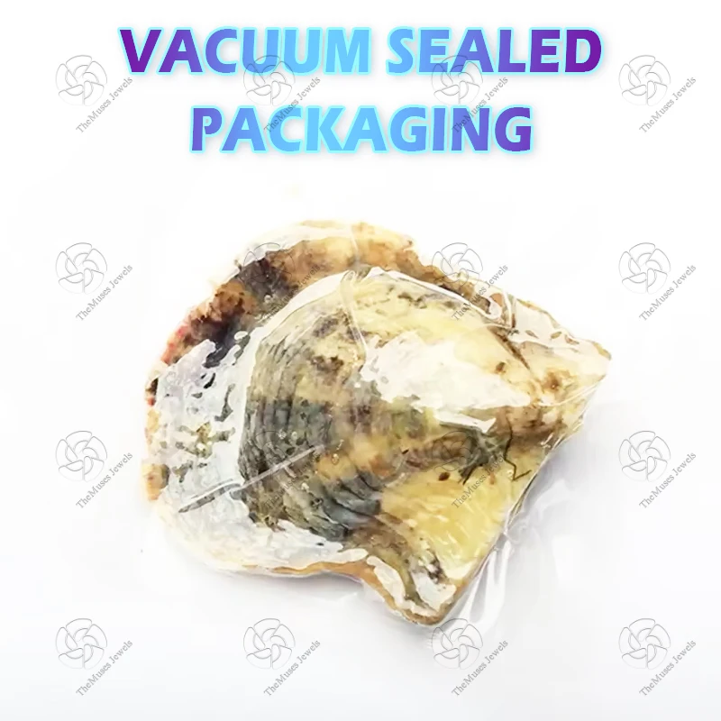 Freshwater Oyster Shell Pearl Live Oysters Kit with Pearls for Jewelry & Jewelry Making Competitive Price perola facetadas