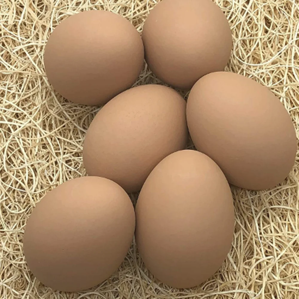 Easter ceramic egg decoration crafts  chicken farm ceramic simulation eggs