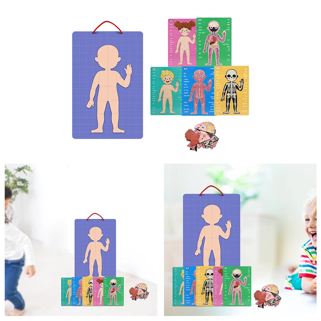 Kid Boby Cognition Toy Set Montessori Human Body Structure Wooden Puzzle Children Biological Learning Toy for 3 Years Old Kids