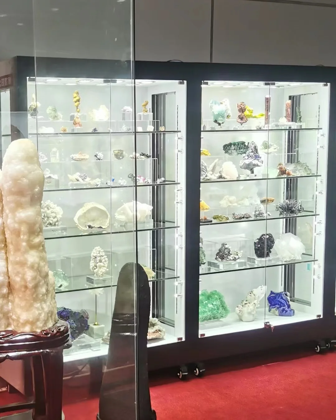 Panel Door Full Vision Display Case Sleek Display Cabinet Valuable Stone Showcase For Mineral