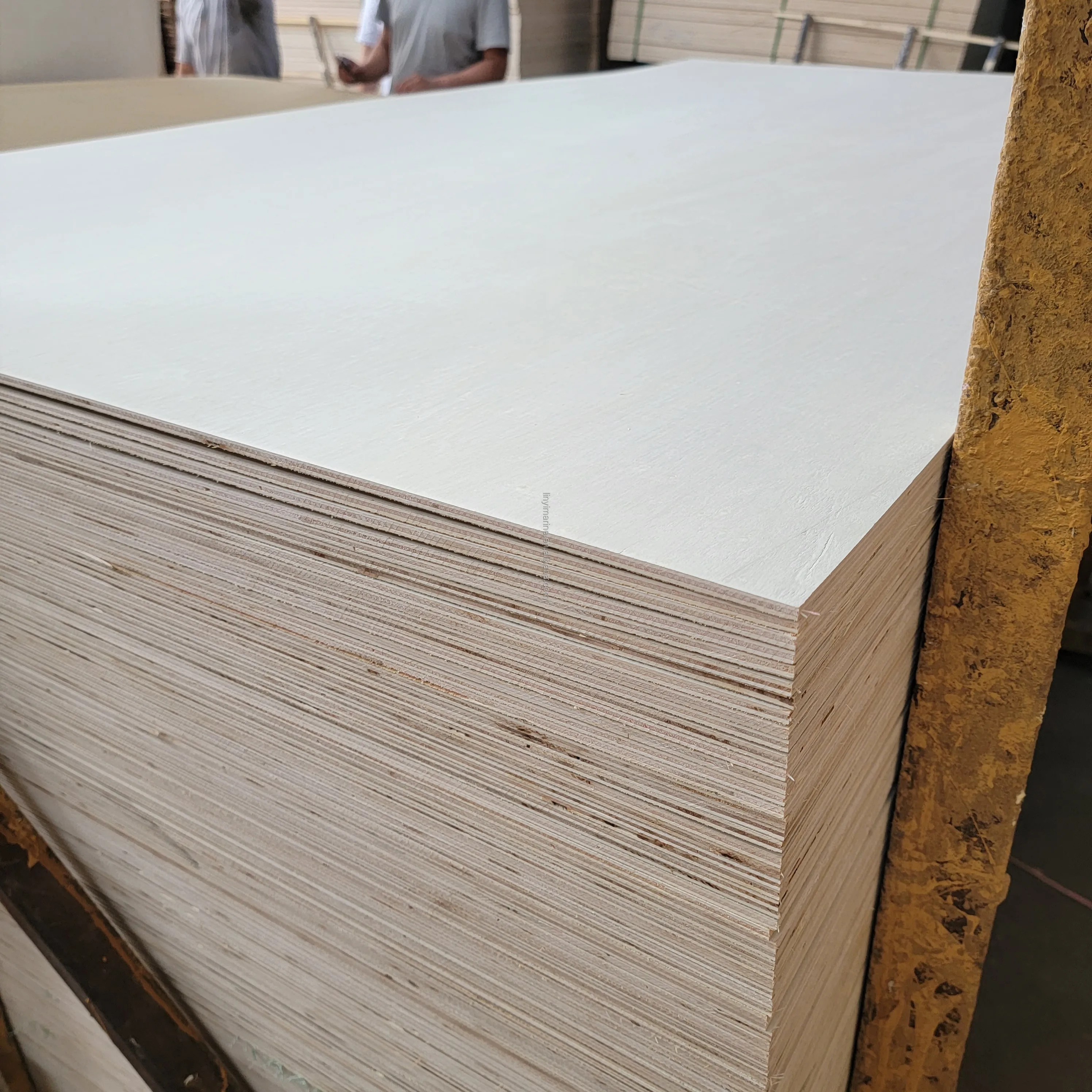 White Poplar Wood combi core plywood sri lanka price