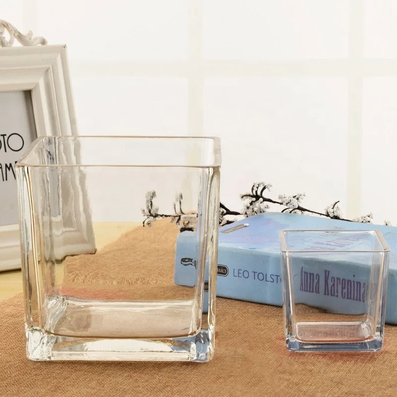 Wholesale  Home Decoration  Glass Cube Plant Flower Vases Square Clear Glass Vase