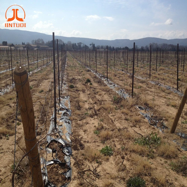 Agricultural plastic mulch degradable plastic agricultural mulch film