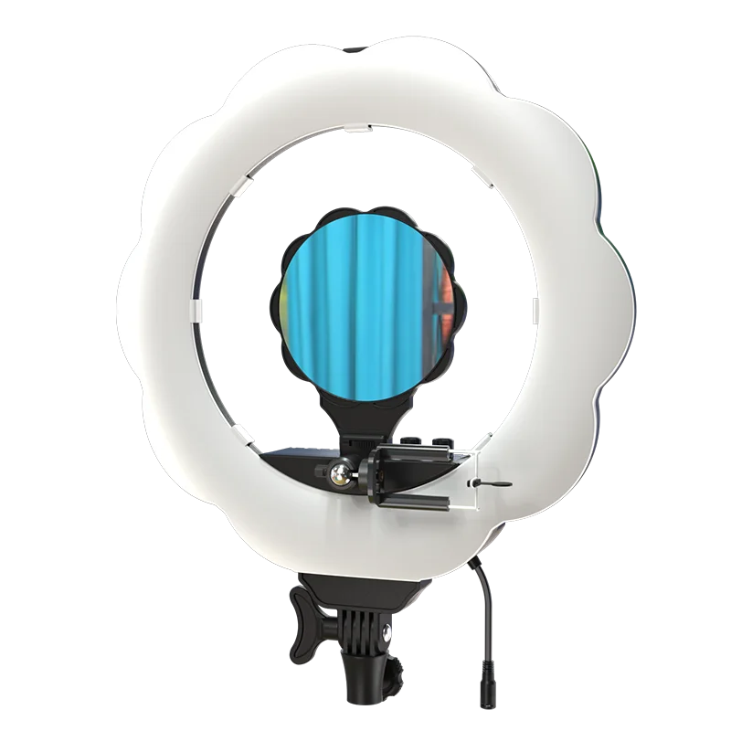 Wholesale 22 Inch 384 Pcs Highlight Leds 48W Photo LED Ring Light Selfie Beauty Photographic Lighting With Mirror