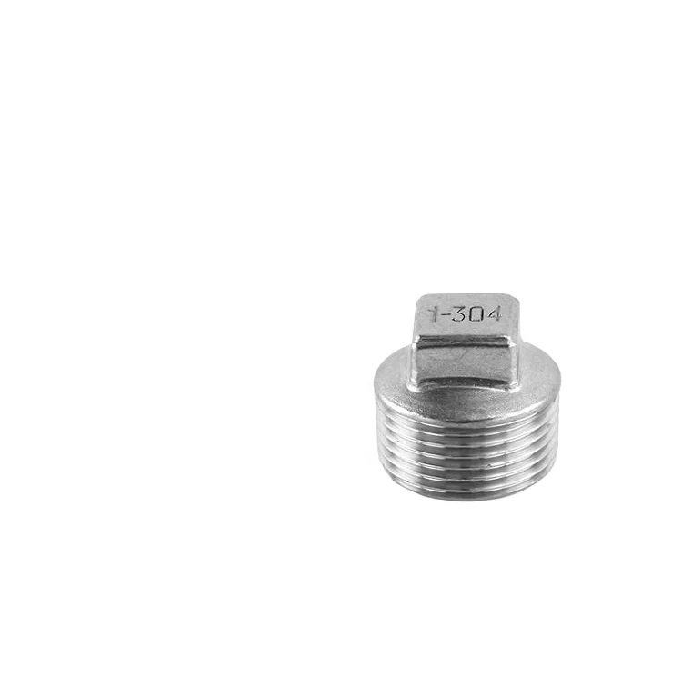 Water meter handling couplings Stainless steel fittings square caps threaded screws gi pipe