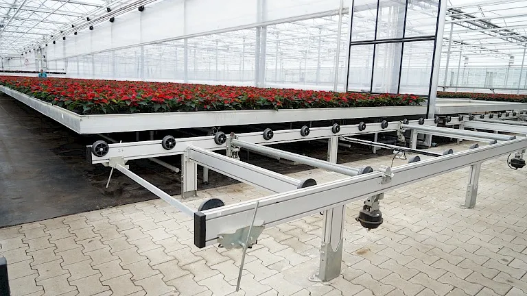 Low-cost plastic greenhouse strawberry cultivation tray seedbed bench for greenhouse