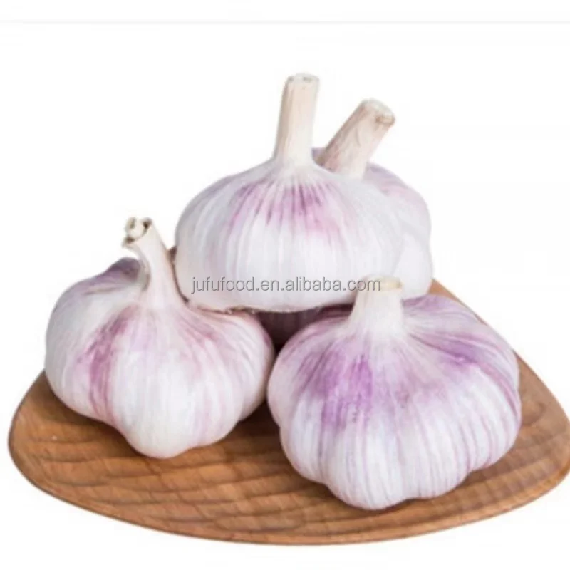 2024 crop best quality china origin pure white garlic
