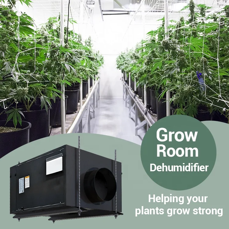 Preair 145L/day Grow Room Industrial Drying Air Desiccant Dehumidifier Greenhouse