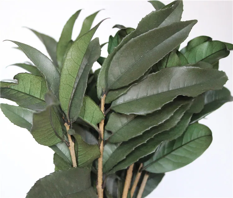 Preserved Osmanthus branches for  Home flower arrangement and Garland decoration