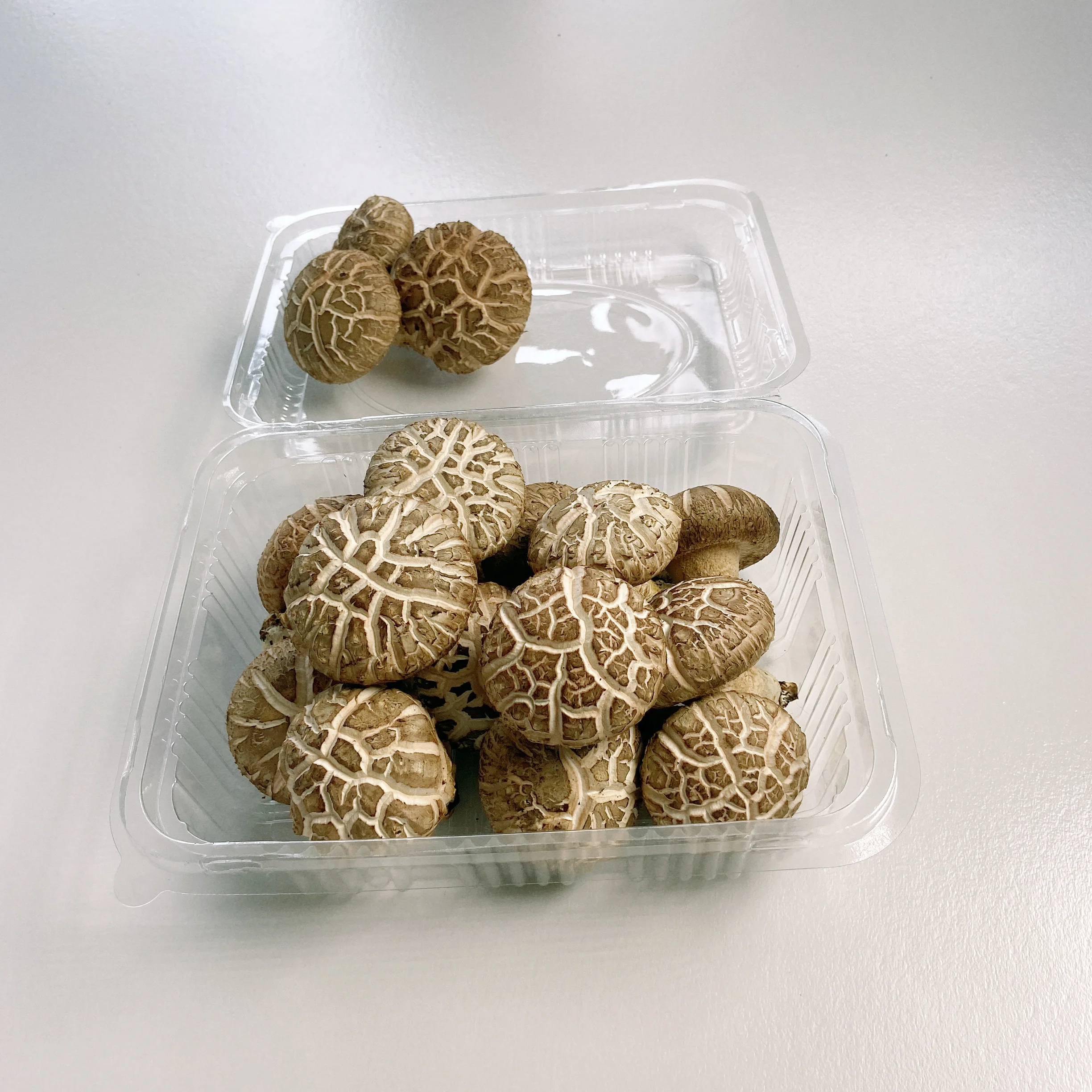 
Professional Hot Sale Dried Shiitake Mushroom Prices Production 