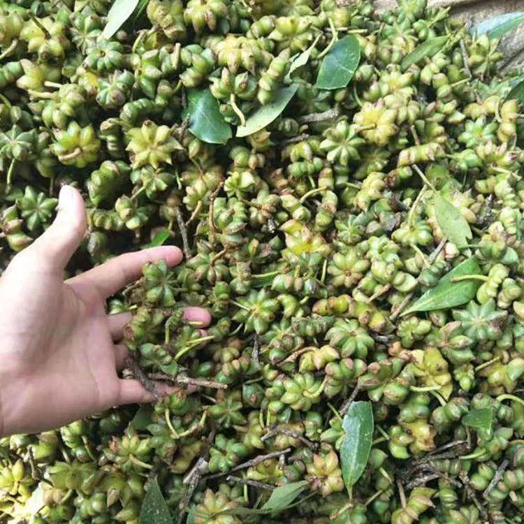 Pimpinella Anisum звездчатое масло для семян аниса оптом пищевое ароматическое массажа тела